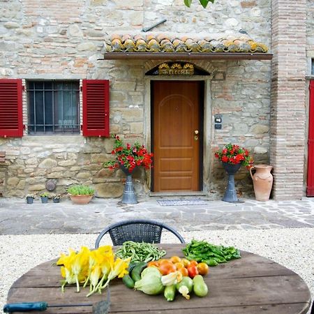 Casa Donella B&B Gricignano エクステリア 写真
